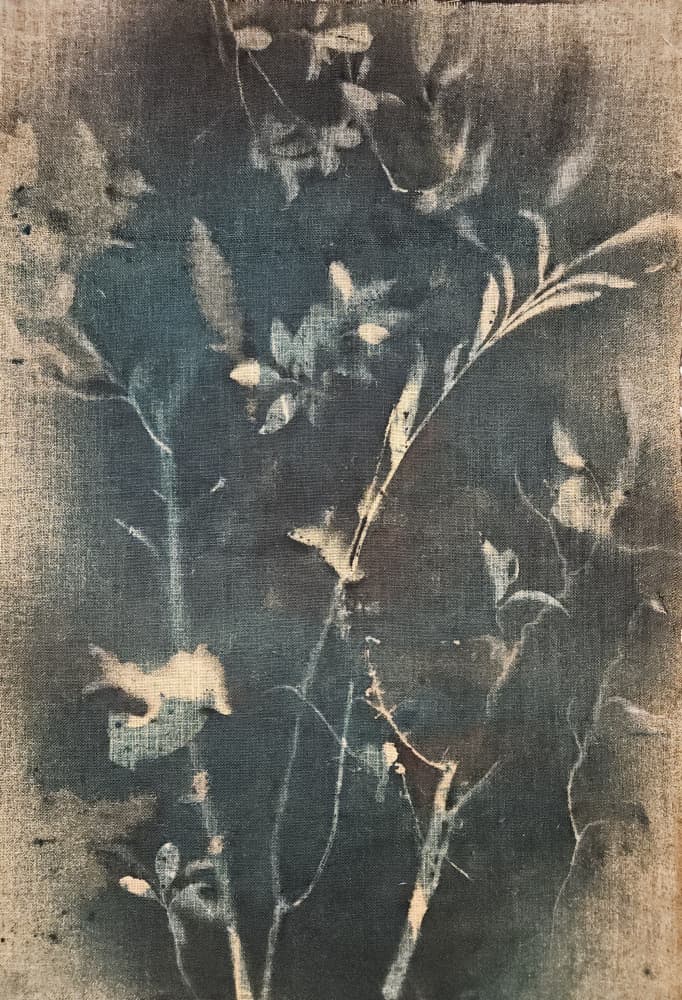Blue Botanical Study by Stefano Mazzolini — canvas wall art