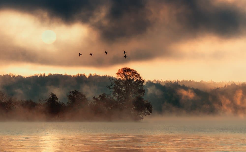 Misty Golden Dawn by Ulrike Eisenmann — canvas wall art
