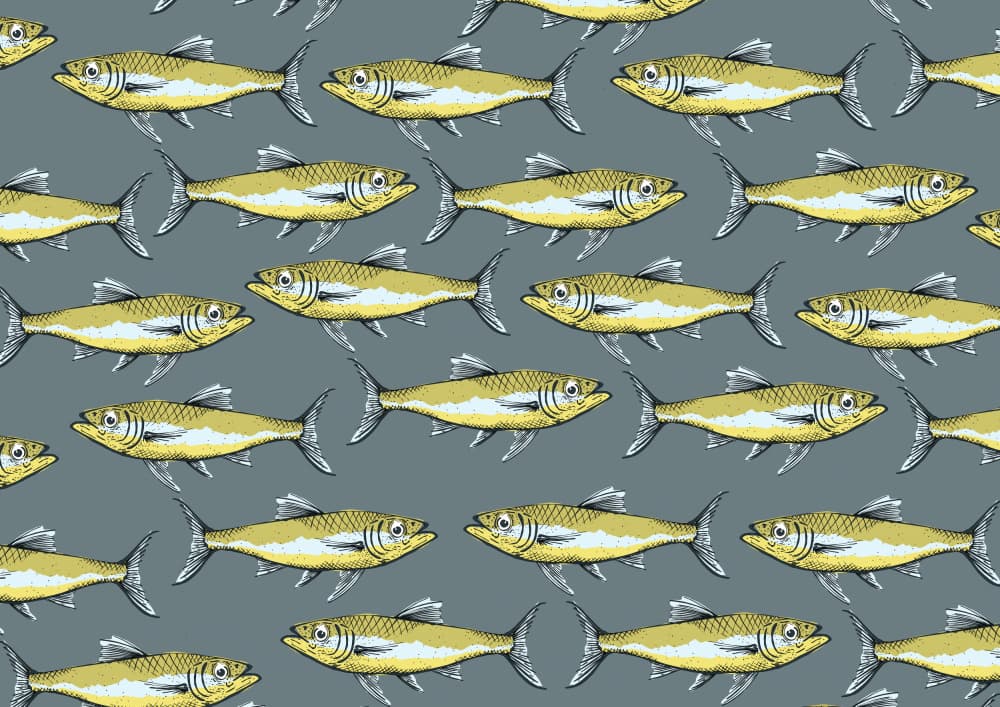 School of Yellow Fish by Nicholas — canvas wall art