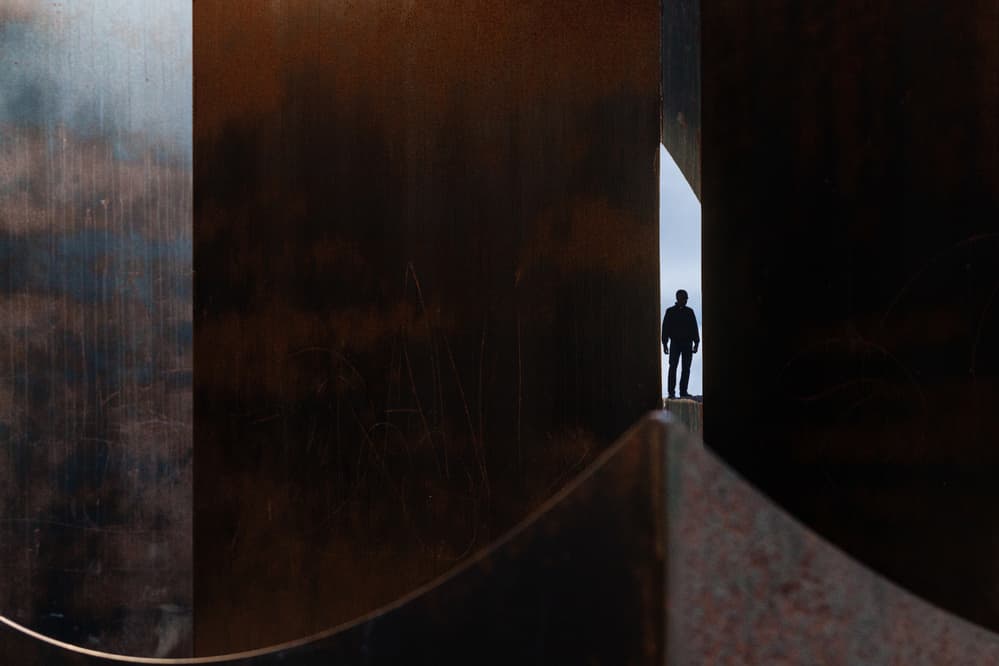 Man In Dark Passage by Michelle Degryse — canvas wall art
