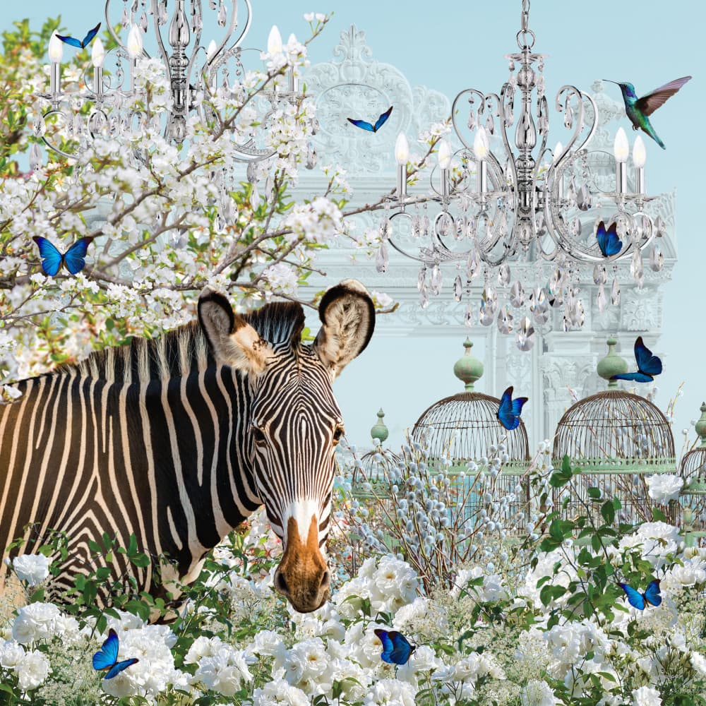 Zebra Chandelier Garden by Sue Skellern — canvas wall art