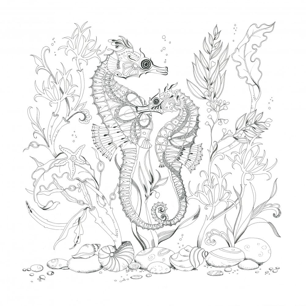 Seahorse Serenade by Isabelle Brent — canvas wall art