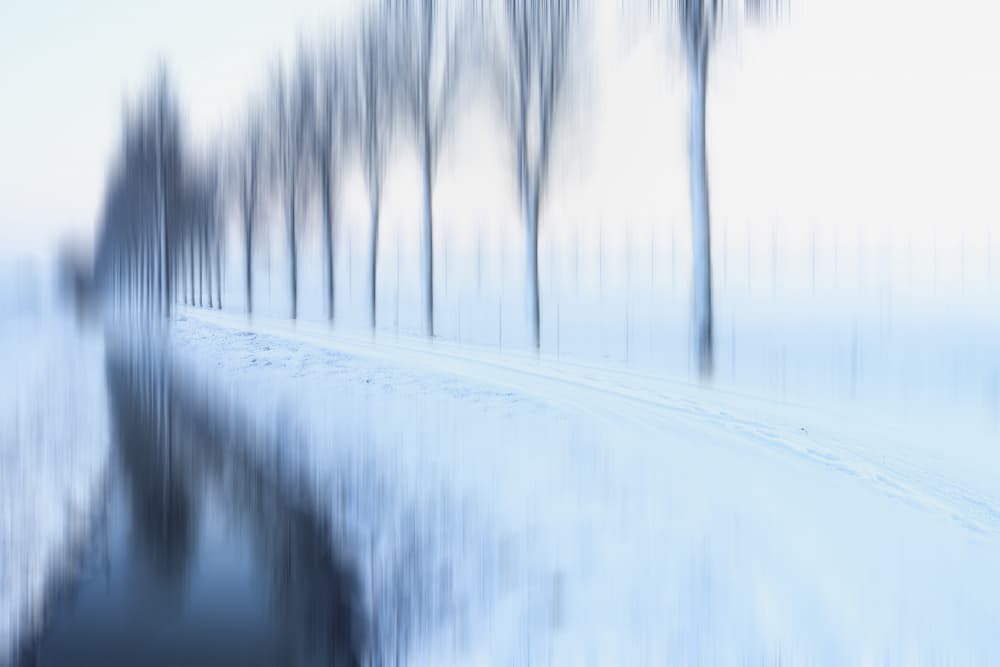 Blurred Winter Trees by Hilda van der Lee — canvas wall art