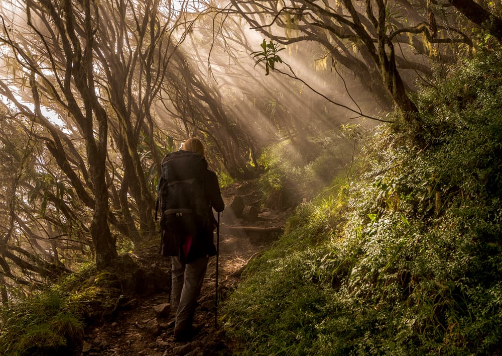 Hiker Through Misty Sunbeams by Karsten Wrobel — canvas wall art