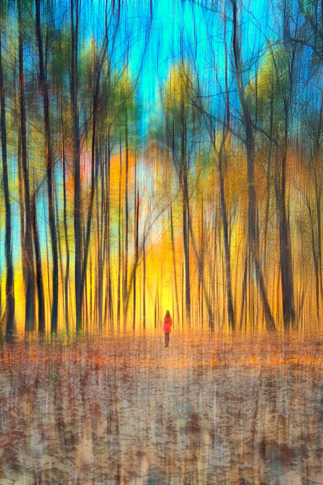 Into the Golden Forest by Ti Wang — canvas wall art