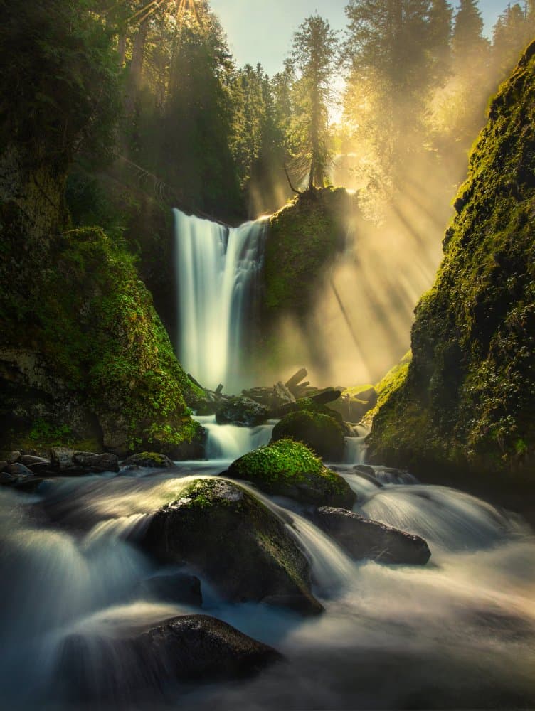 Sunlit Forest Waterfall by Ruiqing P. — canvas wall art