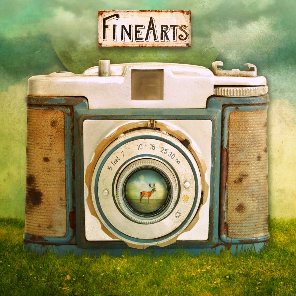 Fine Arts Camera Dream by Marja van den Hurk — canvas wall art