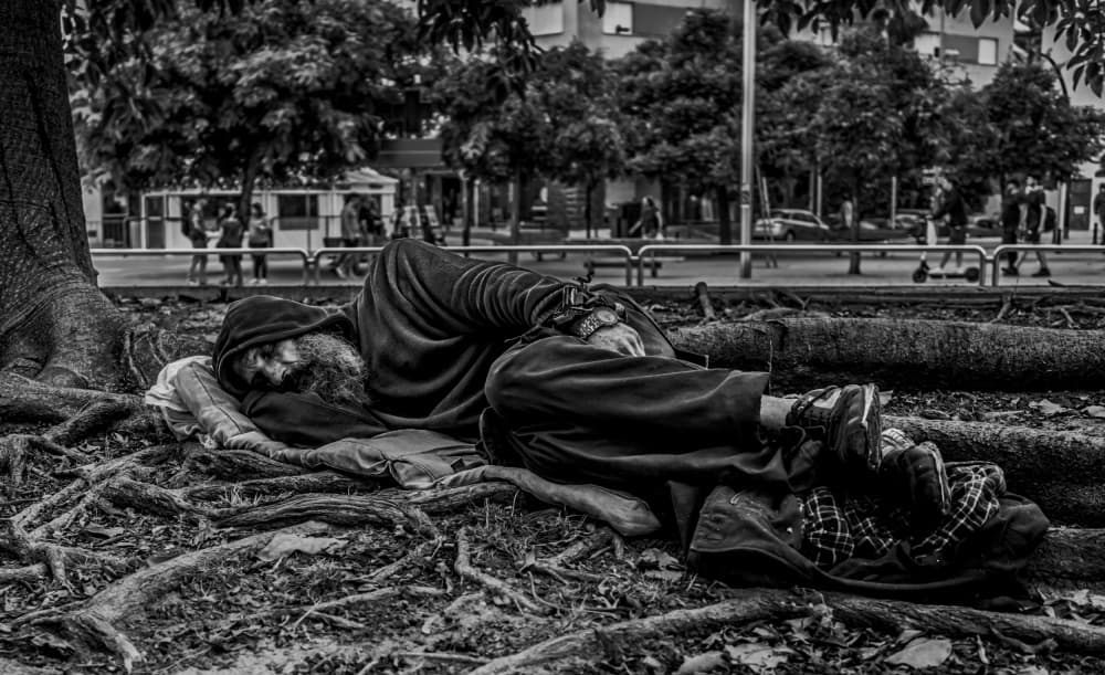 Sleeping Man on Roots by PacodlaCorte — canvas wall art