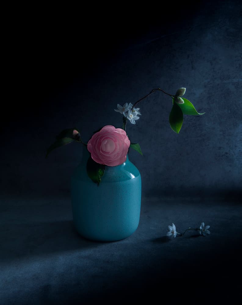 Moody Pink Bloom by Judy Tseng — canvas wall art