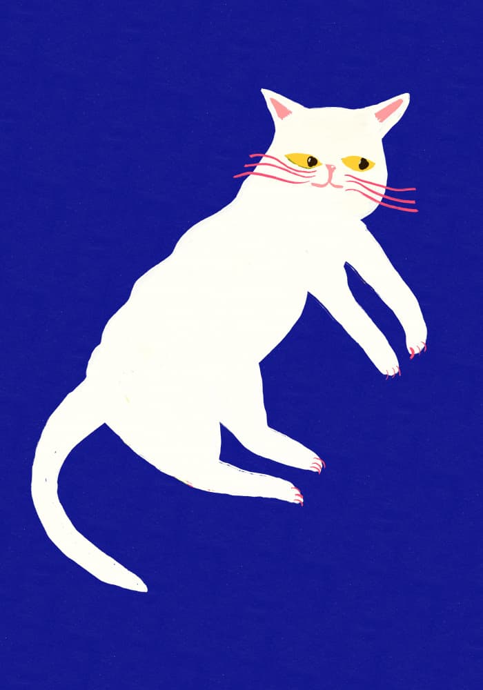 White Cat Blue Dreams by Sharyn Bursic — canvas wall art