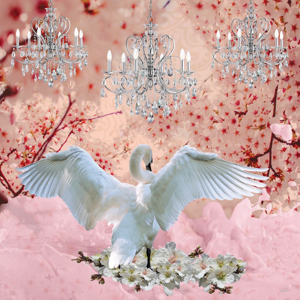 Elegant Swan Crystal Blossoms by Sue Skellern — canvas wall art