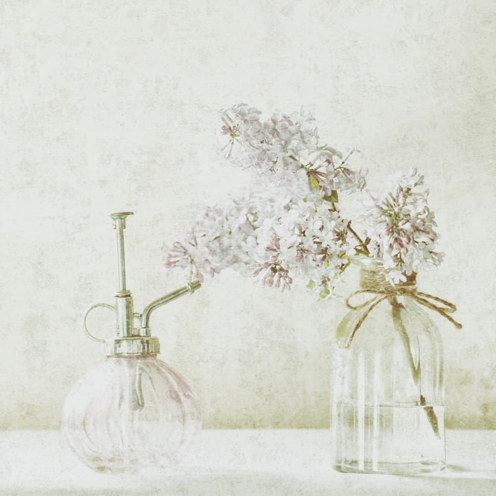Soft Lilac Still Life by Delphine Devos — canvas wall art