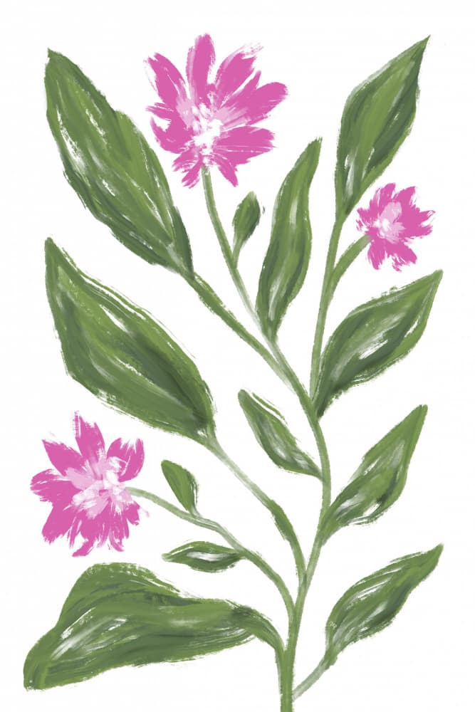 Painterly Pink Flowers by Martina — canvas wall art