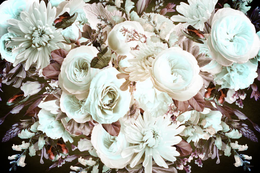 Elegant White Blooms by Sue Skellern — canvas wall art