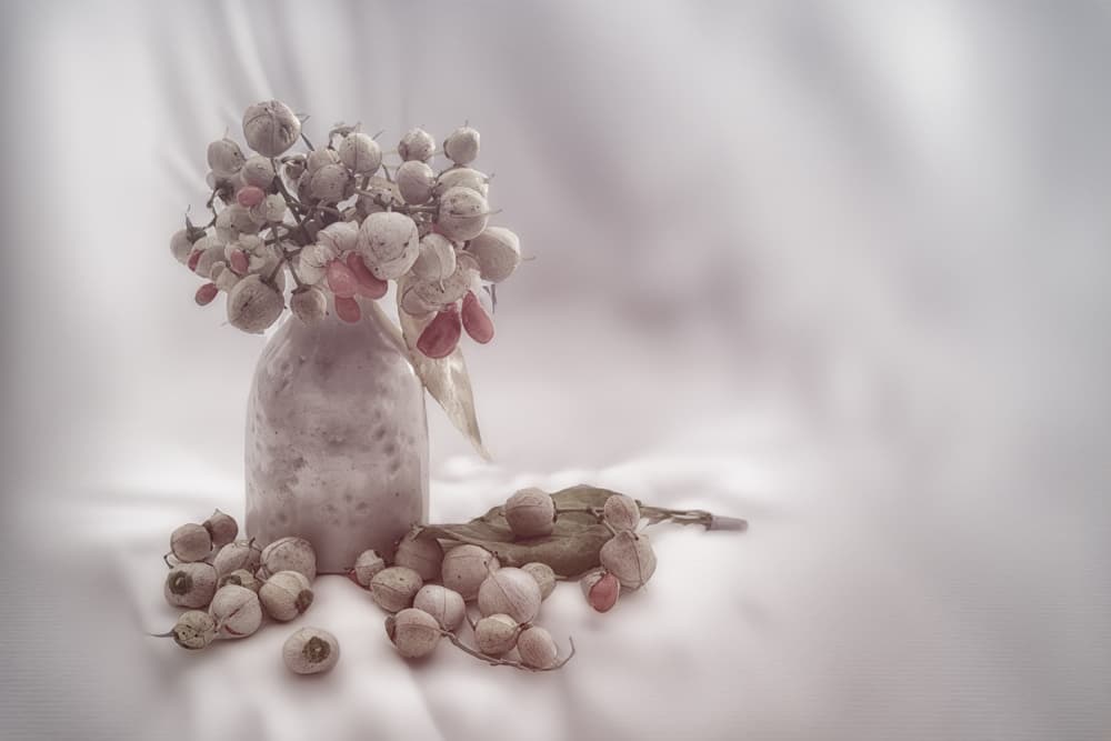 Soft Berry Still Life by Marie-anne Stas — canvas wall art