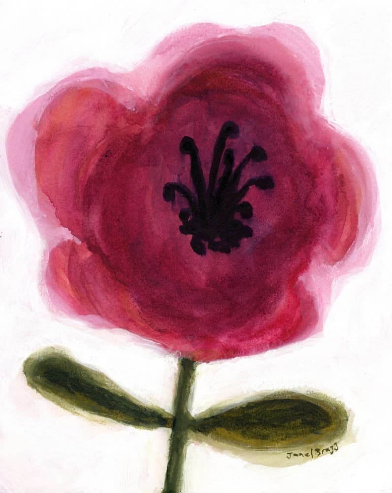 Vibrant Pink Flower by Janel Bragg — canvas wall art