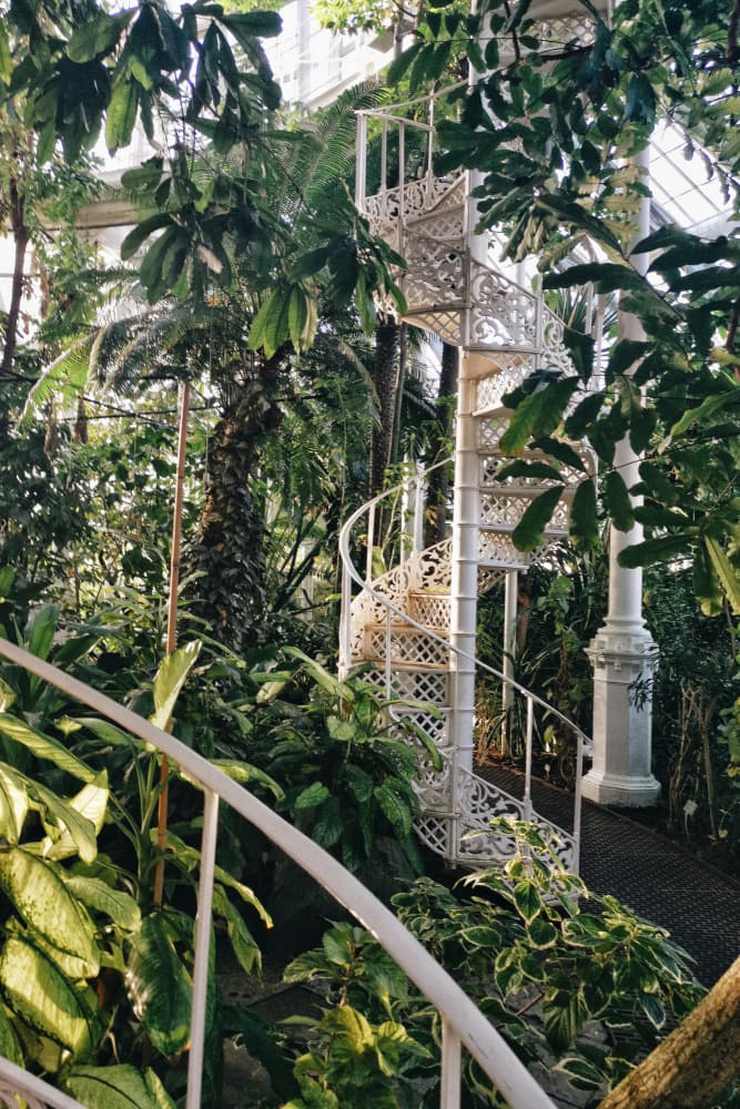 Greenhouse Spiral Staircase by Talitha McQueen — canvas wall art