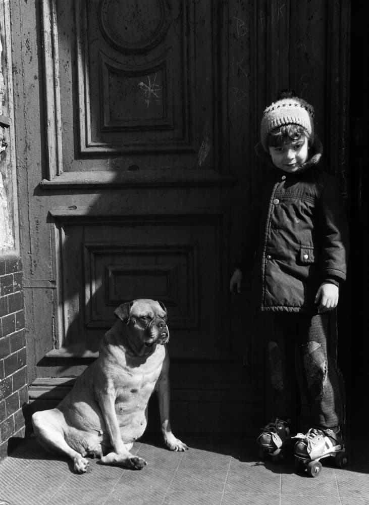 Young Girl With Pug by Jacek Stefan — canvas wall art