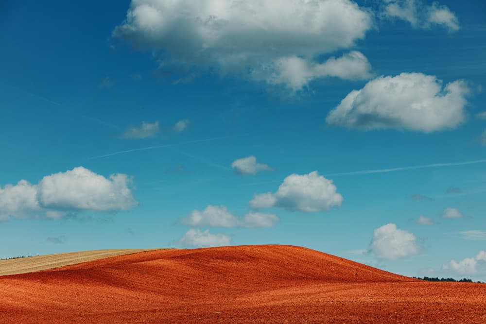 Red Fields Blue Sky by Javier Pardina — canvas wall art