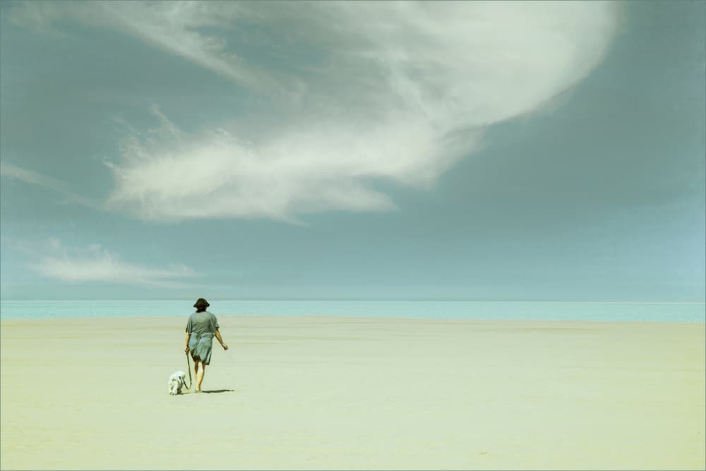 Expansive Beach Dog Walk by Gilbert Claes — canvas wall art