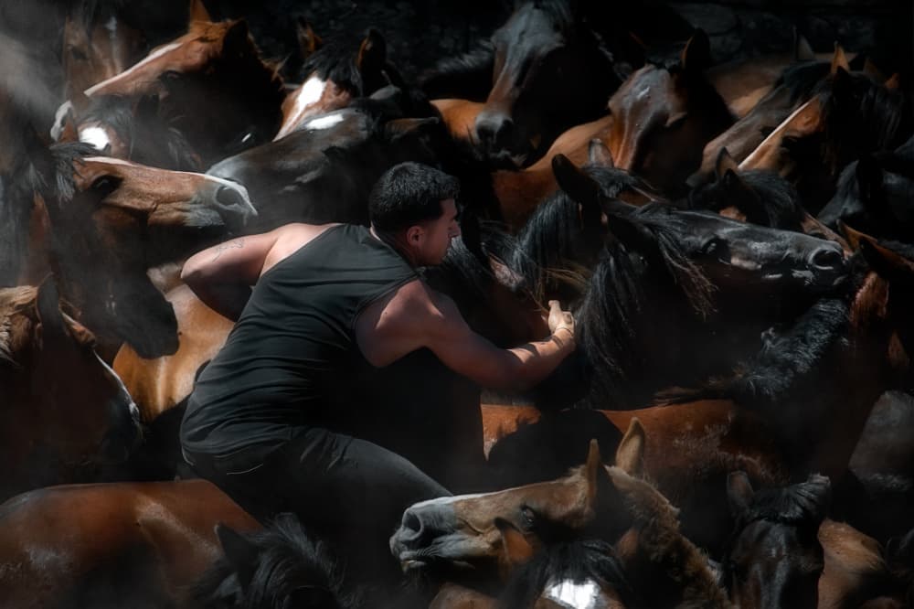 Wrangling Wild Horses by Santiago Pascual Buye — canvas wall art