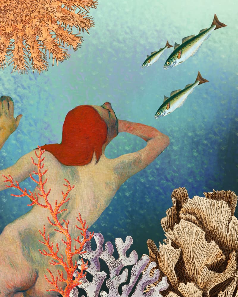 Underwater Coral Explorer by Wild Violets — canvas wall art