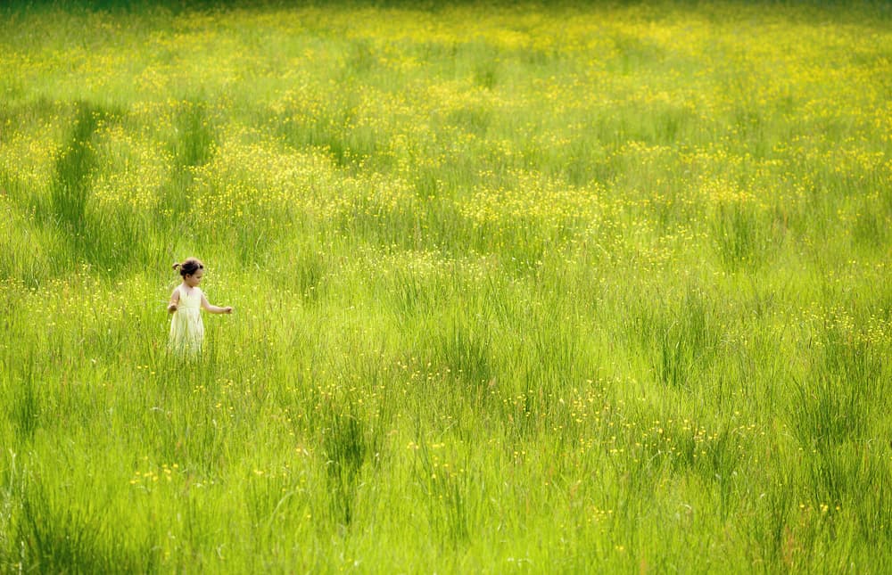 Little Girl In Summer Field by Christoph Hessel — canvas wall art