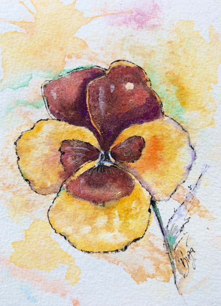 Colorful Pansy Bloom by Anda Bieza — canvas wall art