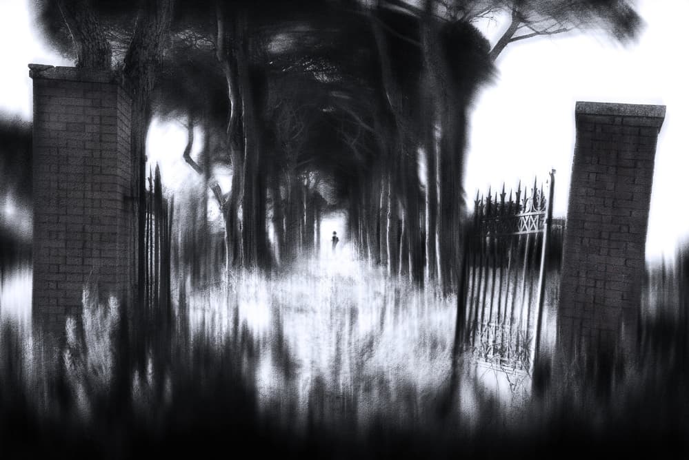Mysterious Gate Avenue by Nicodemo Quaglia — canvas wall art