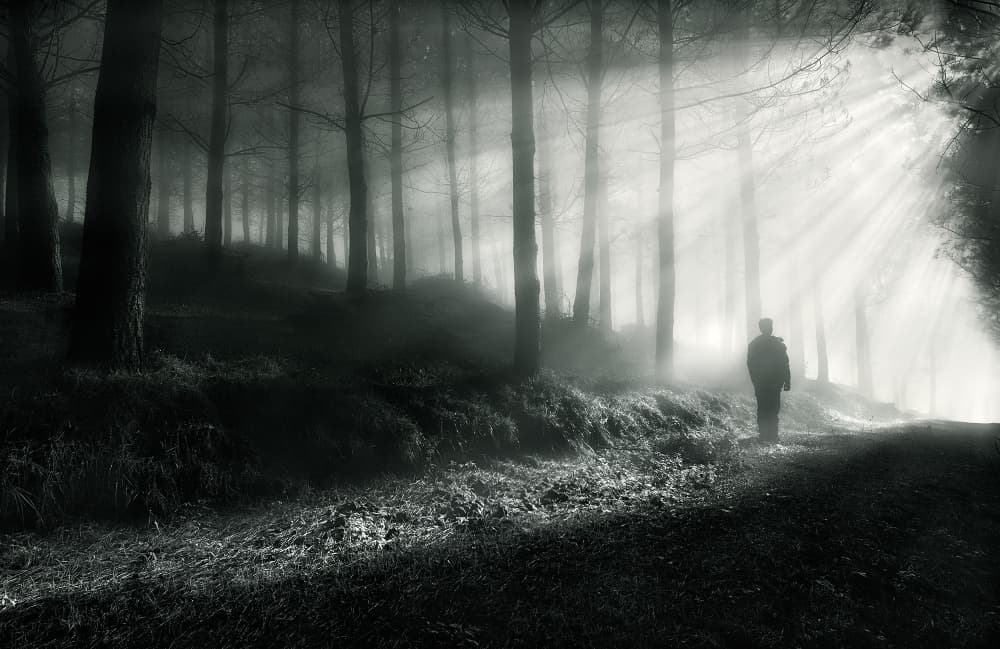 Man in Misty Forest by Fran Osuna — canvas wall art