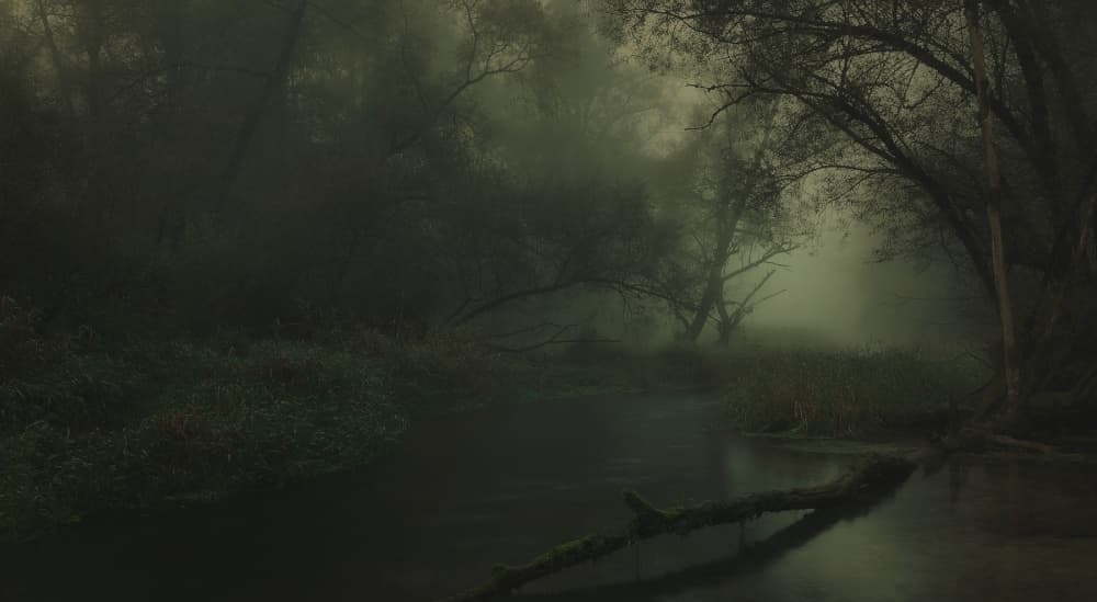 Mysterious Forest River by Norbert Maier — canvas wall art