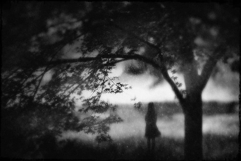 Misty Day Solitude by Teruhiko Tsuchida — canvas wall art