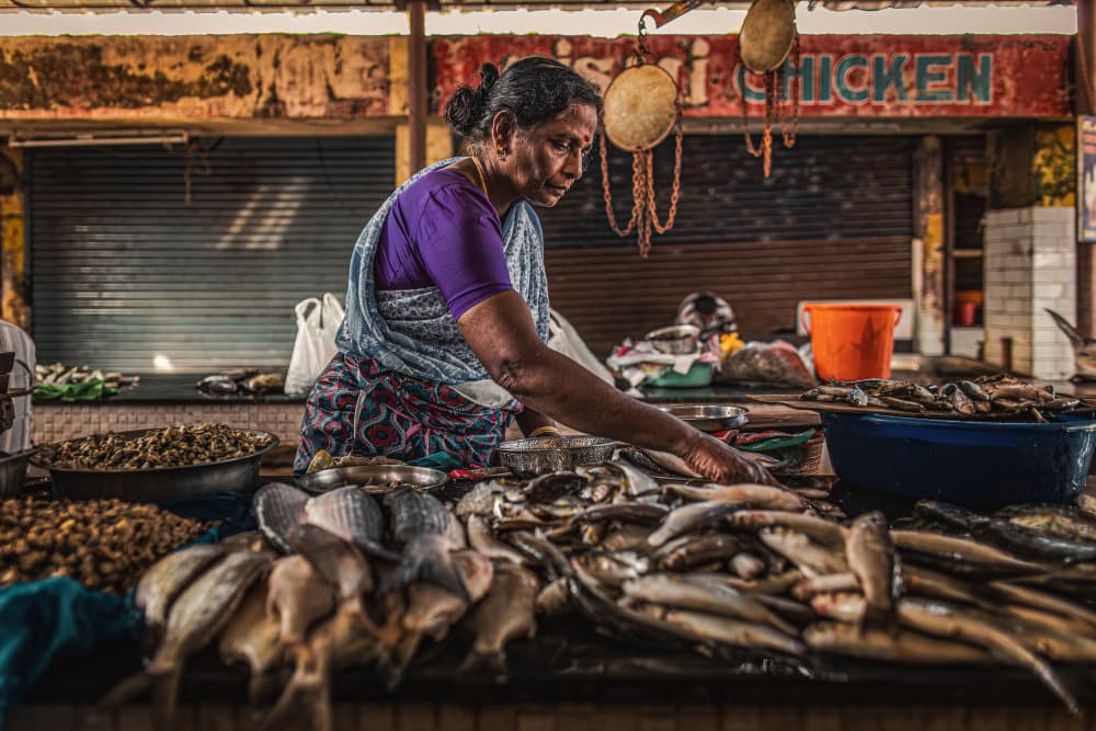 Indian Market Fish Seller by Marco Tagliarino — canvas wall art