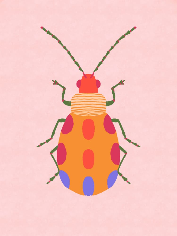 Colorful Spotted Beetle by Aliya Putrus — canvas wall art
