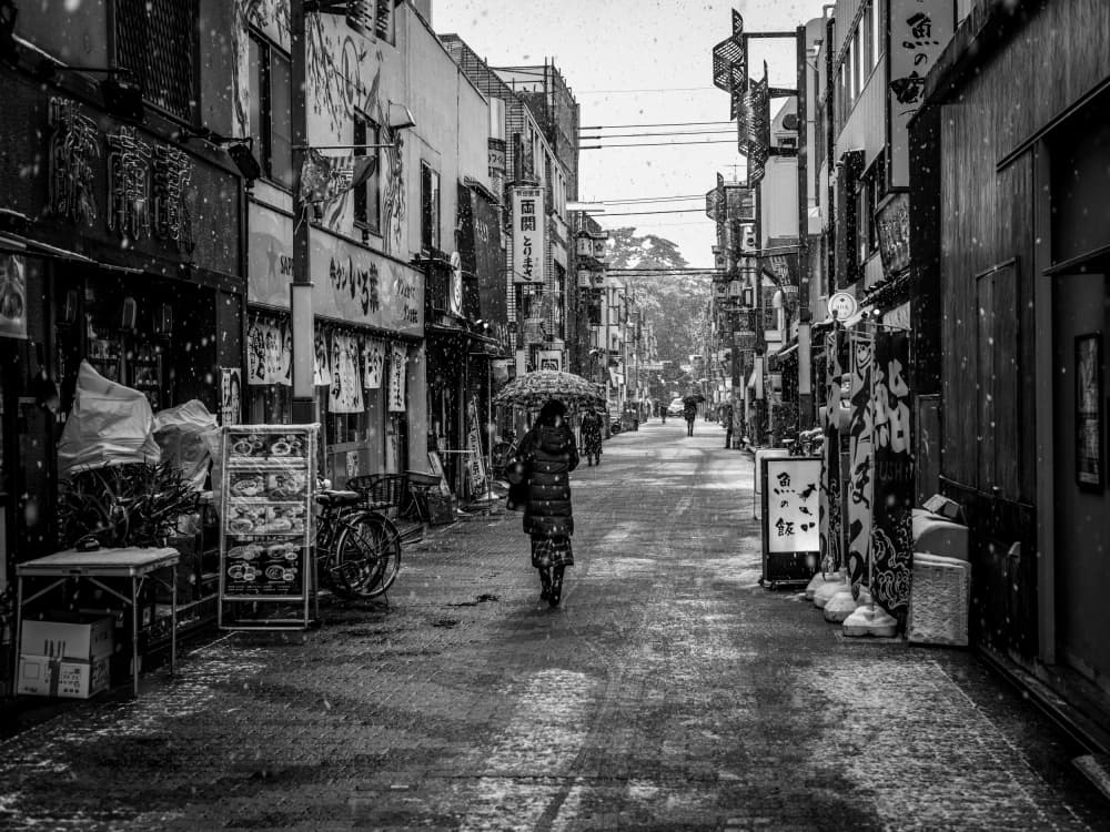 Winter Stroll in Japan by sirou.minami — canvas wall art