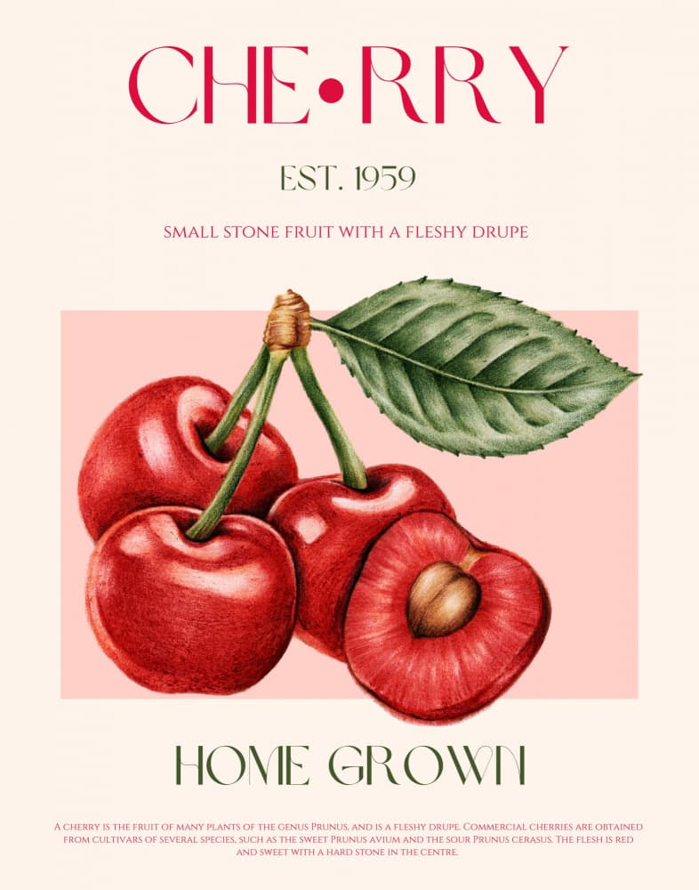 Sweet Cherry Botanical by Nazma Khokhar — canvas wall art