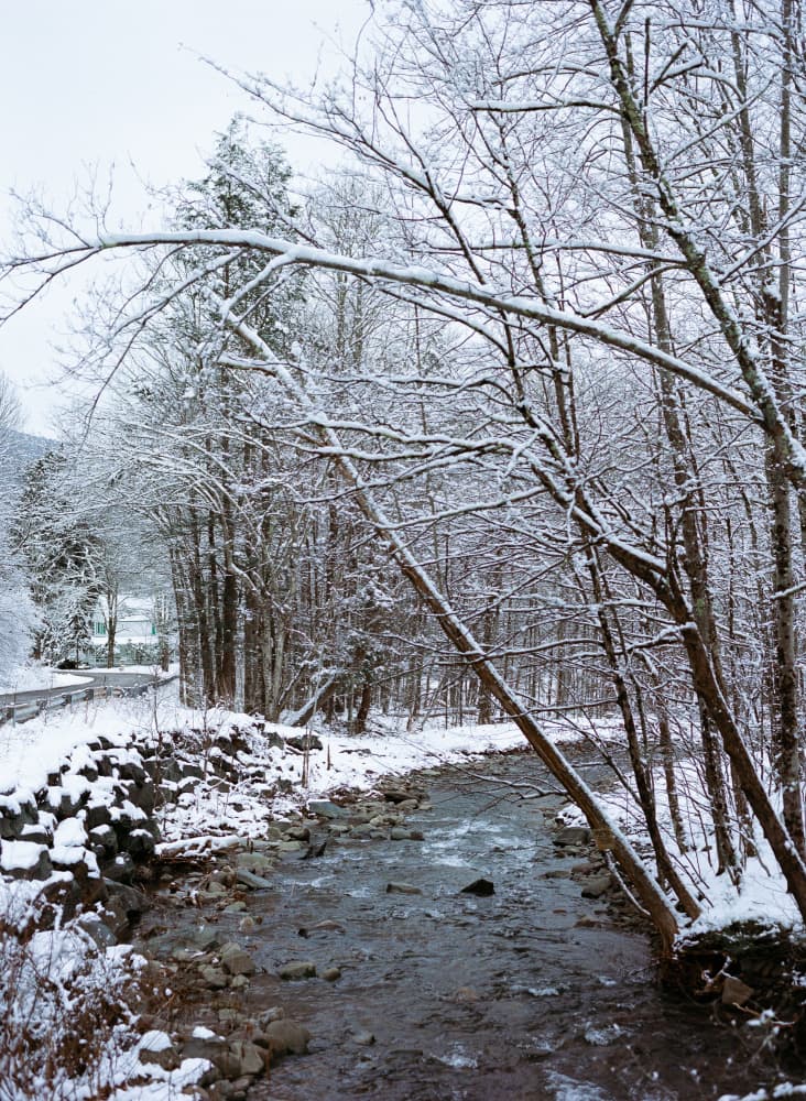 Snowy Forest Stream by Bethany Young — canvas wall art