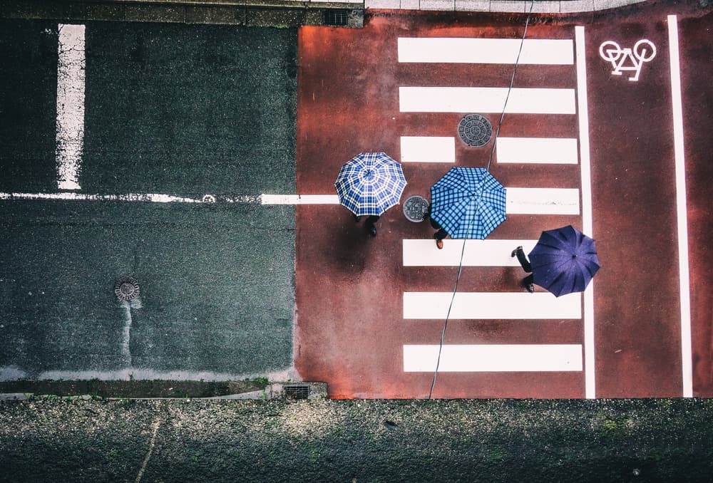 Rainy Crosswalk Umbrellas by Haruyo Sakamoto — canvas wall art