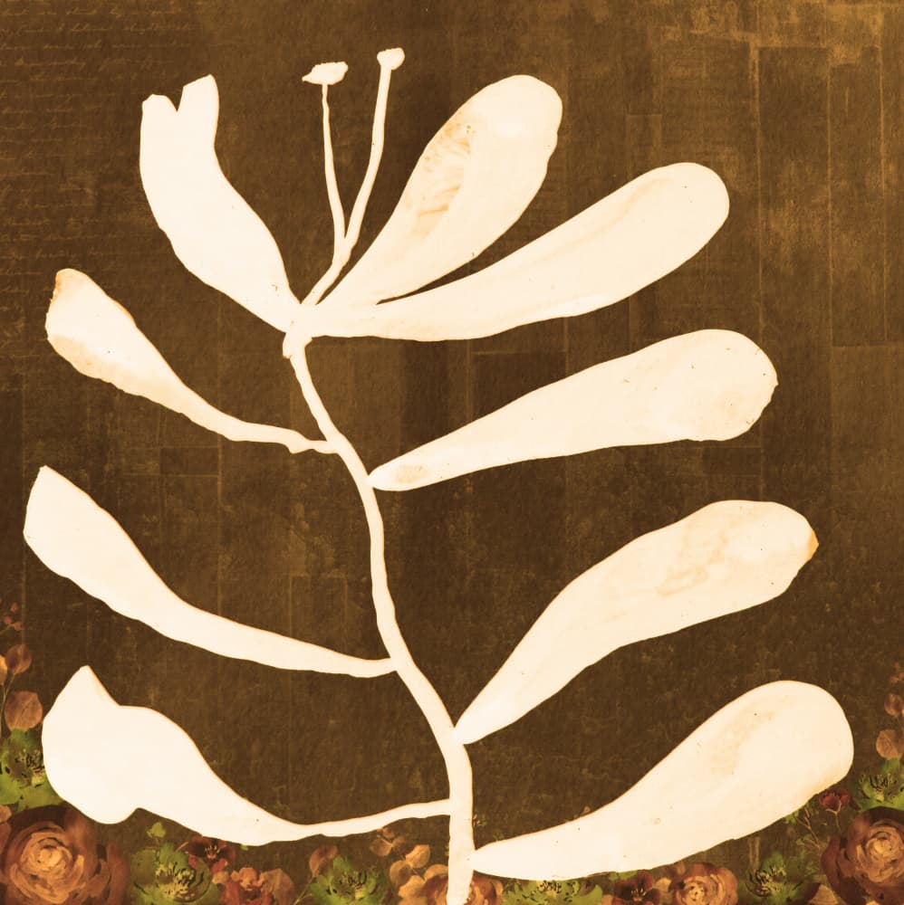 Golden Botanical Abstract by Santhosh ch — canvas wall art