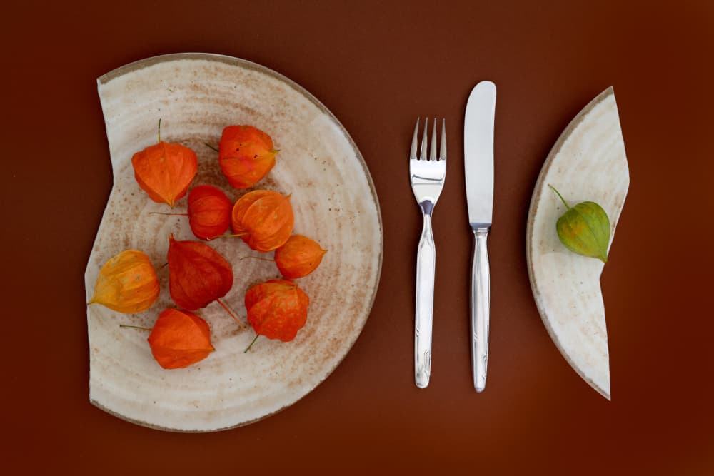 Physalis Table Setting by FranzStaab — canvas wall art