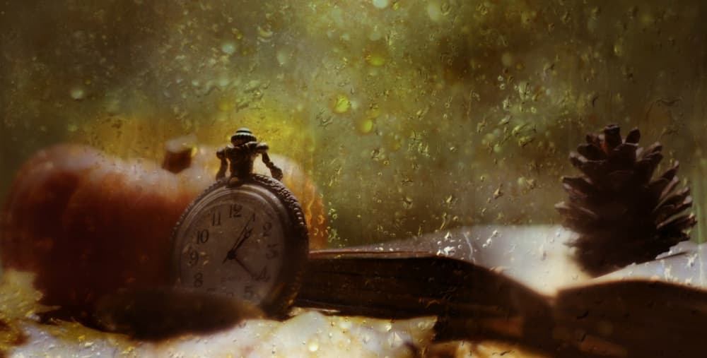 Cozy Autumn Watch by Delphine Devos — canvas wall art