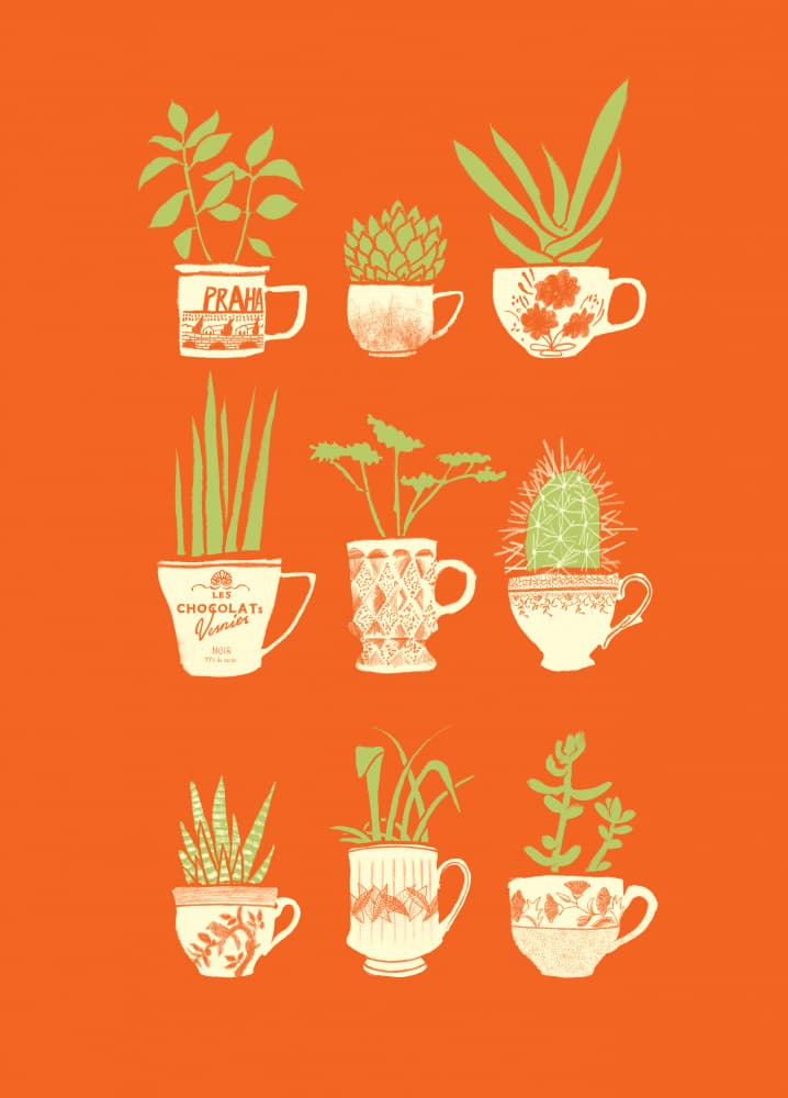 Botanical Teacup Display by Martina Scott — canvas wall art