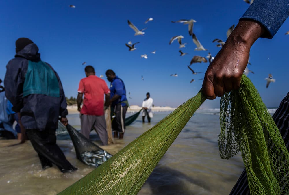 Fishermen's Ocean Net Pull by Haitham AL Farsi — canvas wall art