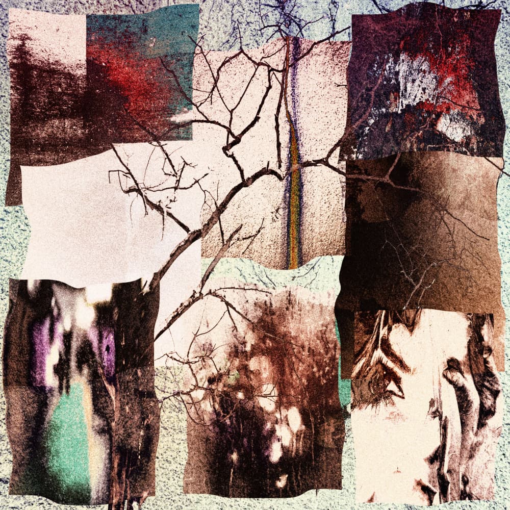 Fragmented Winter Branches by Harry Verschelden — canvas wall art