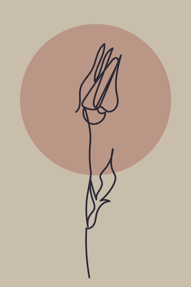 Minimalist Tulip Bloom by Anna Rose — canvas wall art