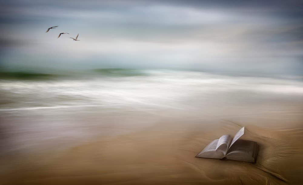 Open Book Shoreline by Fran Osuna — canvas wall art