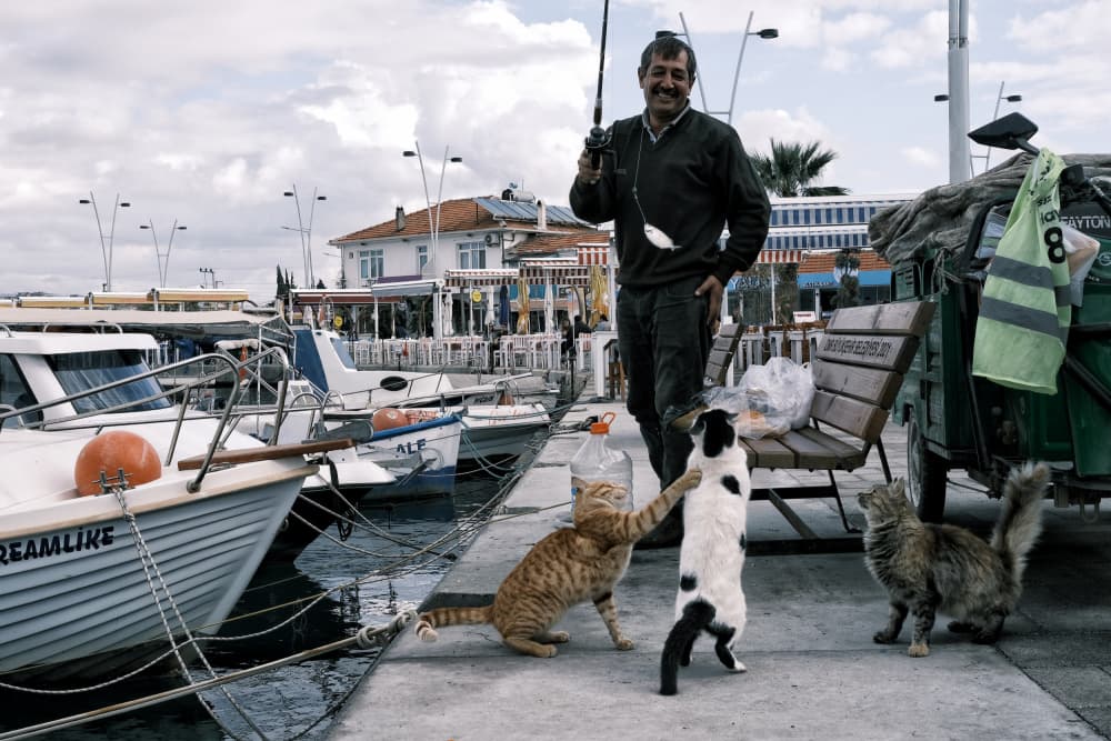 Happy Fisherman Hungry Cats by Ali Ayer — canvas wall art