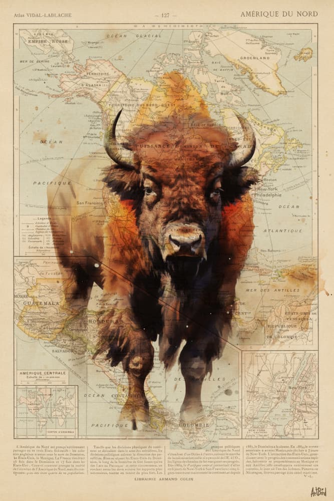 Majestic Bison North America by thomas chedeville — canvas wall art
