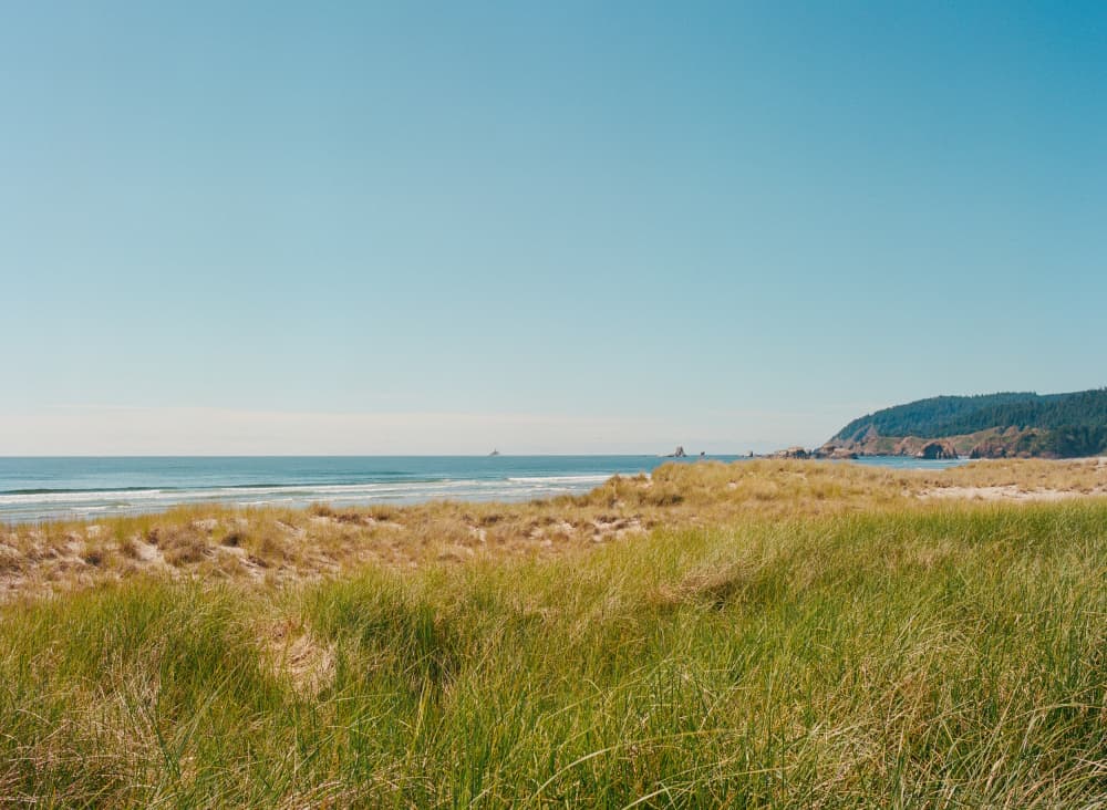 Sunny Coastal Dunes by Bethany Young — canvas wall art