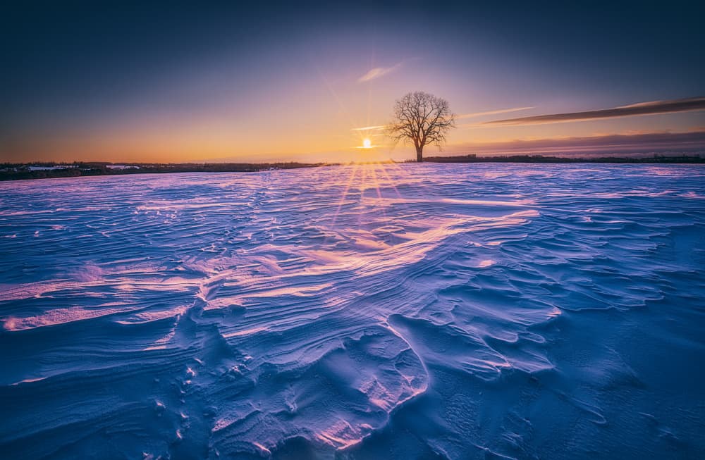 Winter Sunset Tree by Ben.C.L — canvas wall art